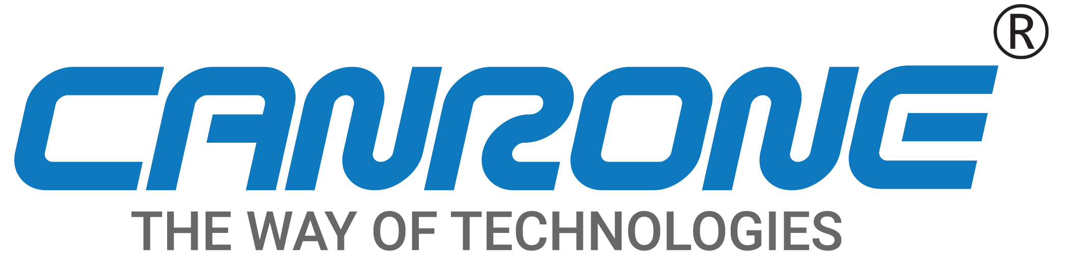 CANRONE SOFTWARE DWC LLC